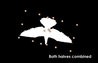 Animating Birds with After Effects