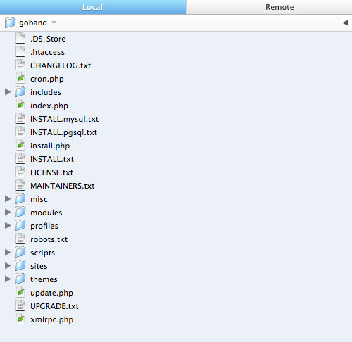 File Structure