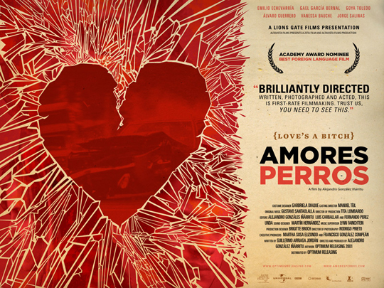 amores perros one