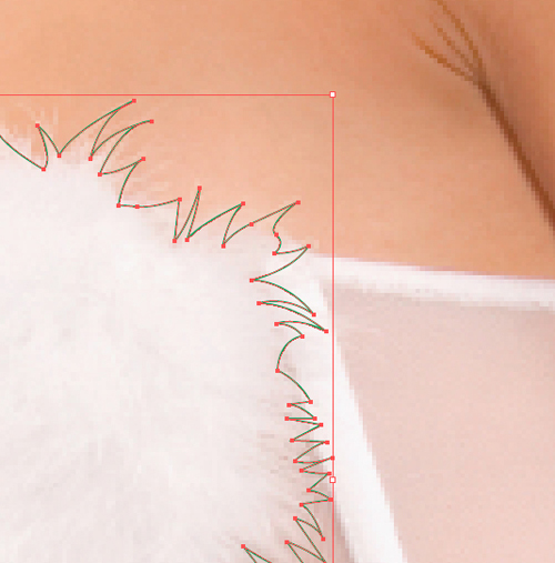 drawing Vector fur