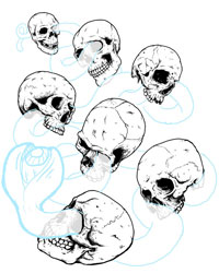 Paint the Stars Skull Drawing