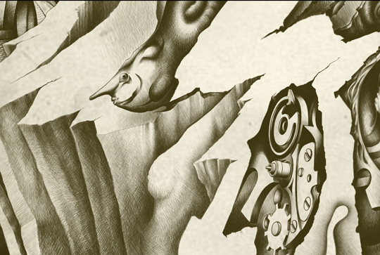 portfolio work