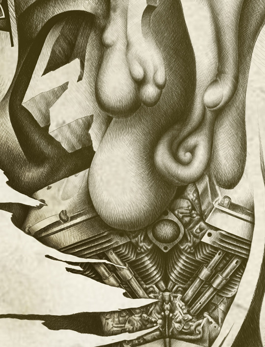 portfolio work
