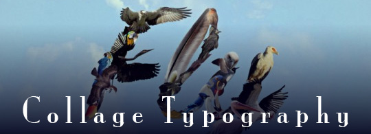 Learn to Create Collage Typography