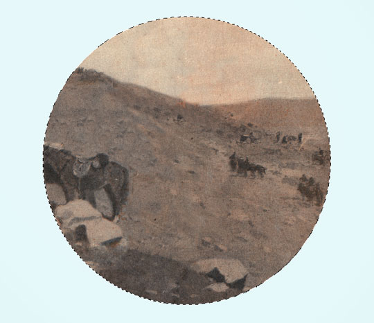 OLP_11 11