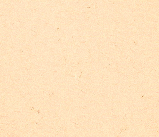 OLP_24 24