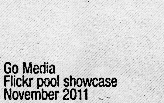 The November 2011 Go Media Flickr pool showcase