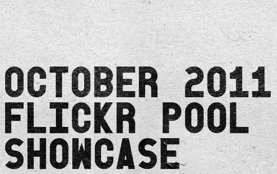 SAoS - Go Media Flickr Pool Showcase October 2011 - Header SAoS - Go Media Flickr Pool Showcase October 2011 - Header