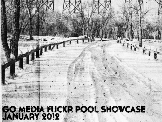 The January 2012 Go Media Flickr Pool Showcase - header