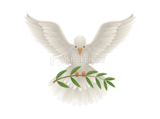 dove reference