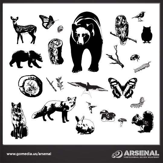 Woodland Creatures Vector Pack