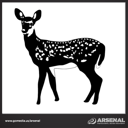 Woodland Creatures Vector Pack