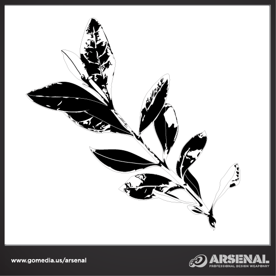 Woodland Creatures Vector Pack
