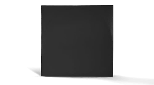 Vinyl Record Sleeve - 12 Inch Vinyl Record Sleeve - 12 Inch