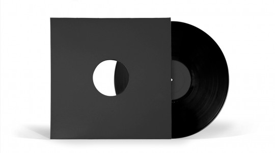 Vinyl Record Sleeve & Record - 12 Inch Vinyl Record Sleeve & Record - 12 Inch