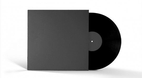 Vinyl Record Sleeve & Record with Label - 12 Inch Vinyl Record Sleeve & Record with Label - 12 Inch